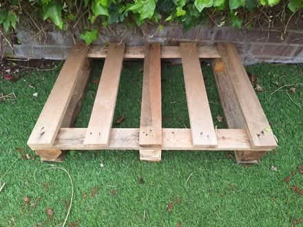 Photo of free Mini pallet (Mytchett GU16) #1
