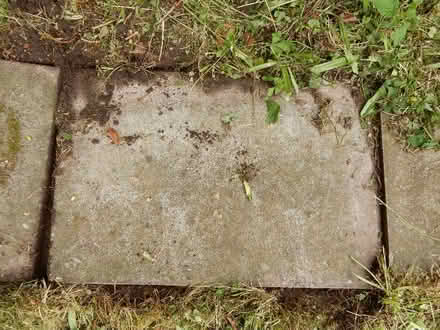 Photo of free Paving slabs (Market Drayton TF9) #1