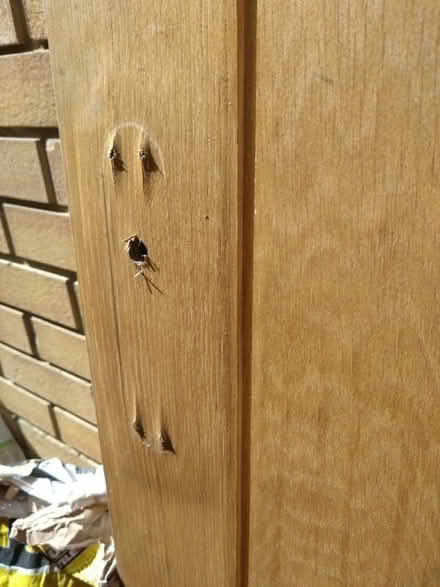 Photo of free Solid oak door (Newbury Park IG2) #1