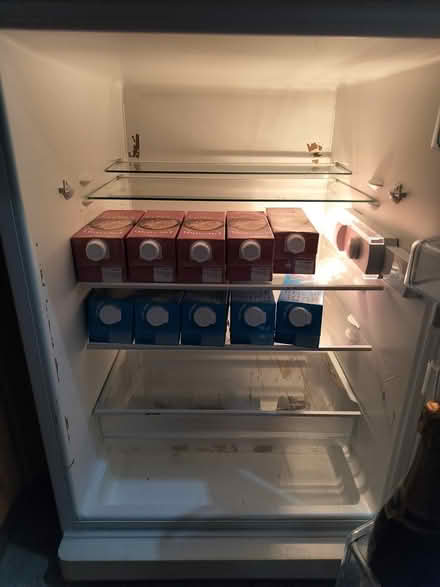 Photo of free Bosch Classixx Under Counter Fridge (forest hill) #2