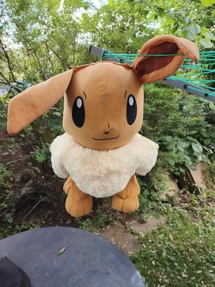 Photo of free Pokémon toy (Earlswood RH1) #1