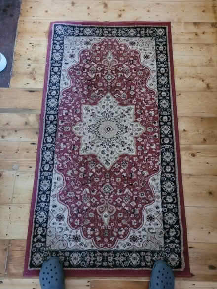 Photo of free Rug (RH13 Horsham) #1