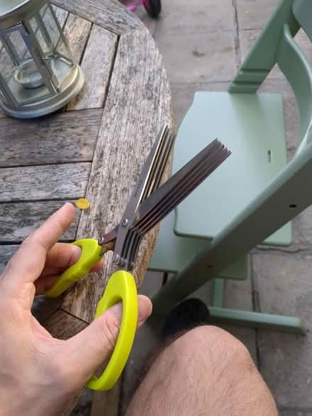 Photo of free Herb scissors (SE21) #1