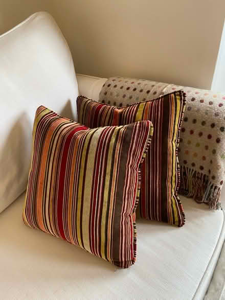 Photo of free 6 velvet cushions (Lansdown) #3