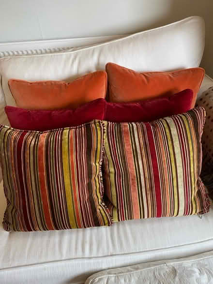 Photo of free 6 velvet cushions (Lansdown) #1