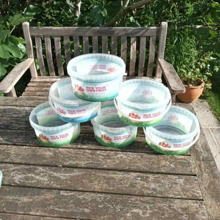 Photo of free plastic pick your own tubs (Marcham OX13) #1