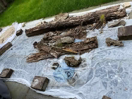 Photo of free oak wooden beams (Hoddesdon EN11) #1