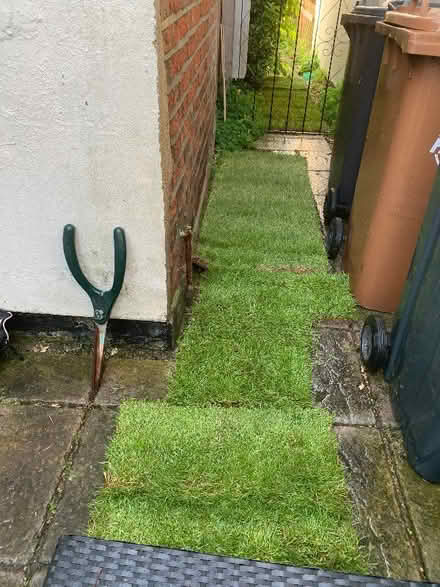 Photo of free Rolls of Turf (Bishop's Stortford CM23) #1