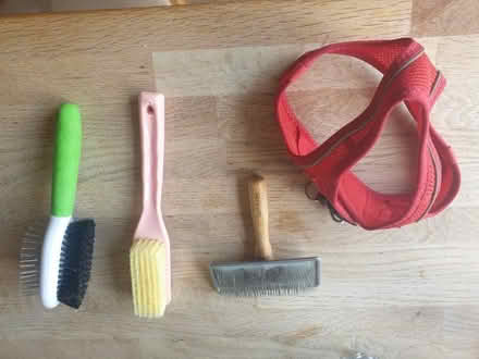 Photo of free Small dog harness and 3 dog brushes (Steeple Aston OX25) #1