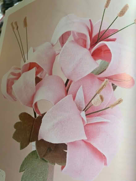 Photo of free Felt Flowers (Saratoga) #2