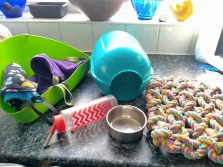 Photo of free Accessories for rodent cage. Ideal for rat sized rodent. (Lower Bebington CH63) #1
