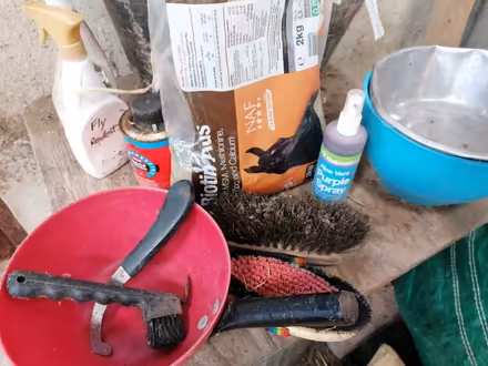 Photo of free Equine items (Woodbrook HR5) #1