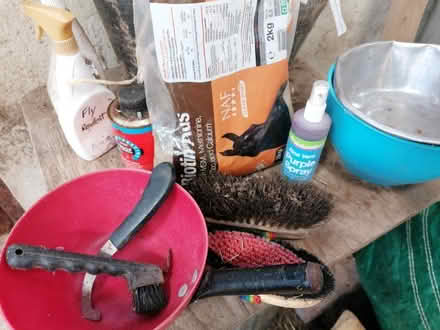 Photo of free Equine items (Woodbrook HR5) #1