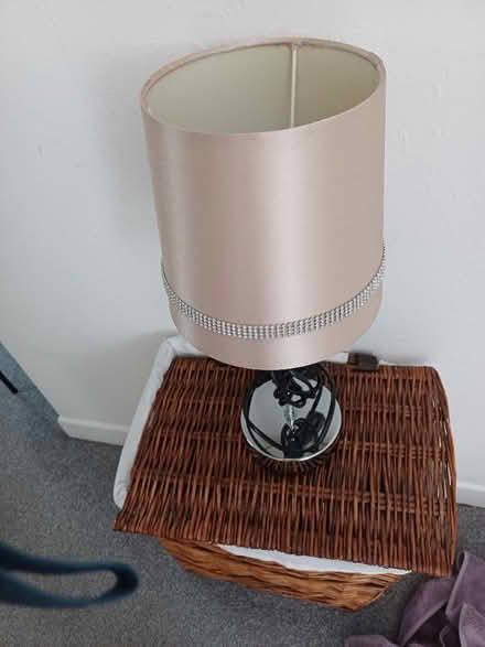 Photo of free Lamp (Hollybush NP44) #1
