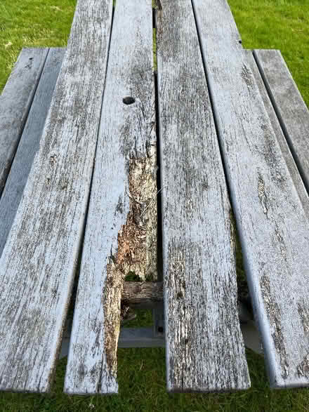 Photo of free Wooden picnic bench (Long Ditton KT6) #2