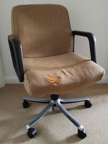 Photo of free Desk chair (Maidenhead SL6) #4
