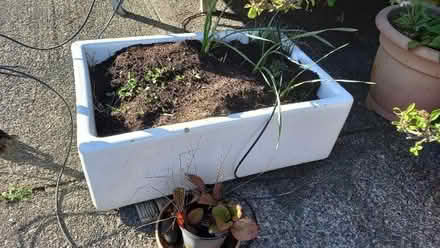 Photo of free Belfast Sink (Maidens KA19) #1