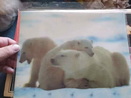 Photo of free Mouse pad! (Market Lavington SN10) #1