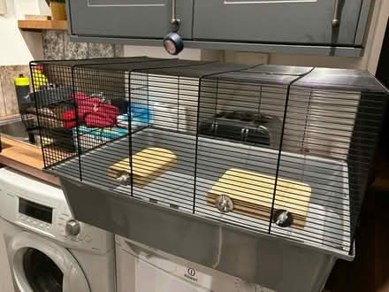 Photo of free Large hamster cage (Feniscowles) #1