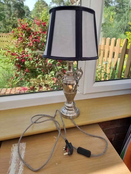 Photo of free Lamp (West Bilney PE32) #1