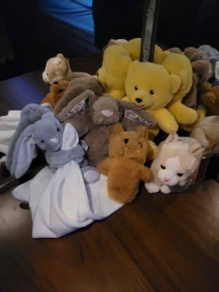 Photo of free Teddy's (Woodside CR0) #1