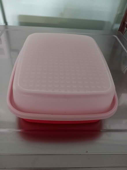 Photo of free Tupperware 2 piece set (Snell and Santa Teresa) #1