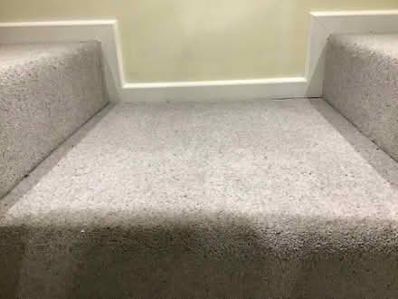 Photo of free Carpet New Unused roll end (Penwortham PR1) #1