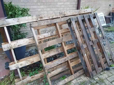 Photo of free 15 pallets (Weston Favell village area) #3