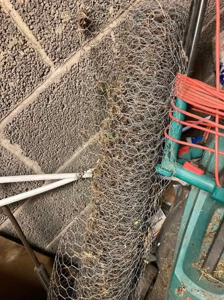 Photo of free Chicken wire (Greenhill S8) #1