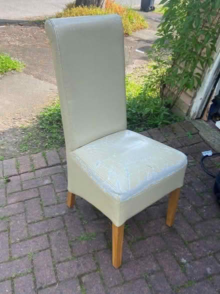 Photo of free Dining chairs (Weaverham CW8) #2