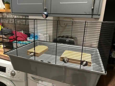 Photo of free Large hamster cage (Feniscowles) #2