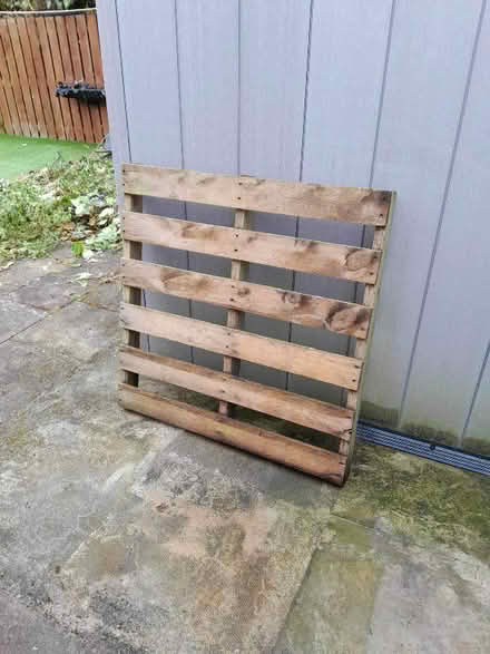 Photo of free Wood pallet (Ashington NE63) #1