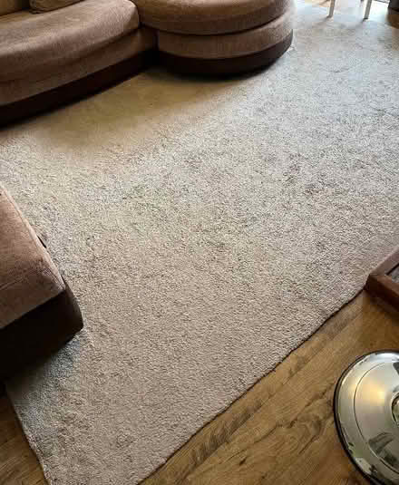 Photo of free Large Dunelm grey rug (Chells SG2) #1