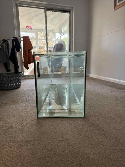 Photo of free 100 gallon glass fish tank (Kirkby Thore CA10) #2
