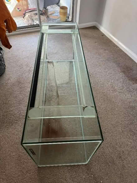 Photo of free 100 gallon glass fish tank (Kirkby Thore CA10) #3