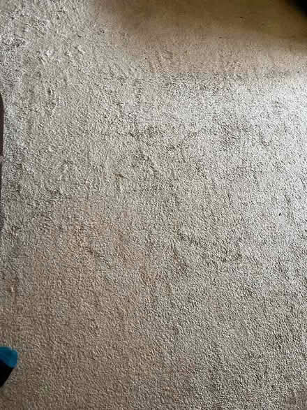 Photo of free Large Dunelm grey rug (Chells SG2) #2