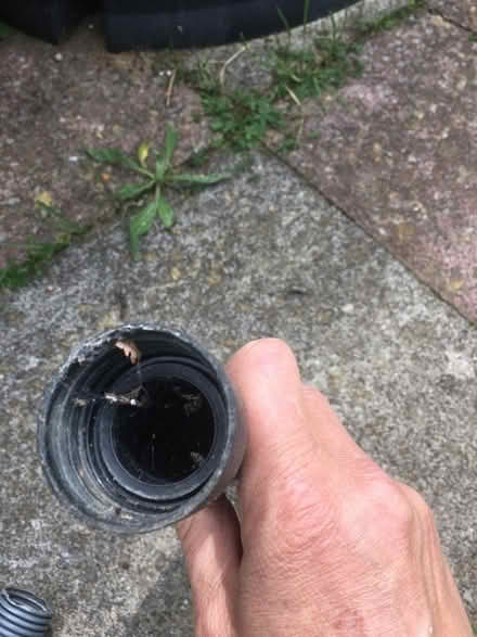 Photo of free Tube (Newhaven BN9) #2