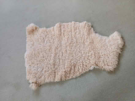 Photo of free Washable small fleece rug (Earley RG6) #1
