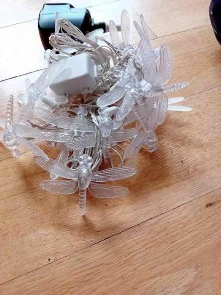 Photo of free Dragonfly Lights (Foxholes SG13) #2