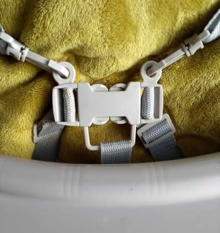 Photo of free Babylo high chair (Walkers Heath B38) #3