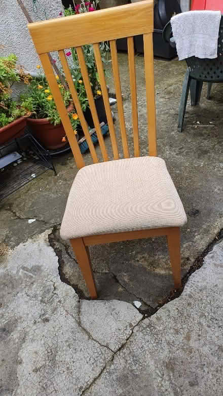 Photo of free Dining chairs x 5. (Wood Street E17) #1