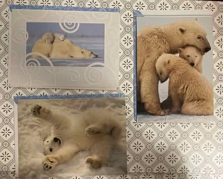 Photo of free Greeting Cards & Recipe Card (Midtown East) #2