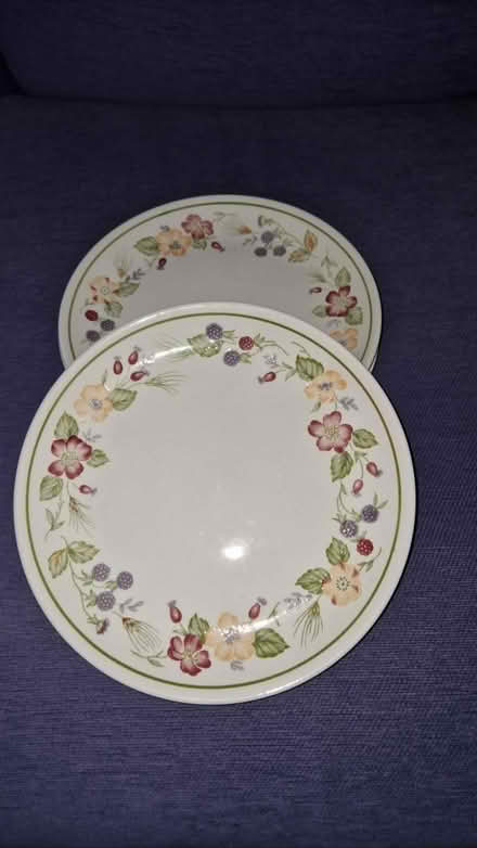 Photo of free Dinner plates x4 (Addiscombe CR0) #1