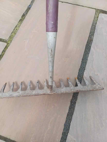 Photo of free Garden rake (Owlthorpe S20) #1