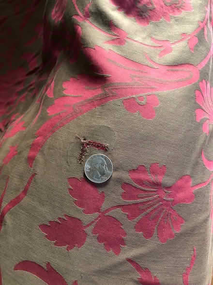 Photo of free Queen Duvet Cover and 2 Euro Shams (Sunnyvale near Wolfe and Reed) #2