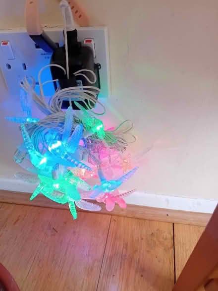 Photo of free Dragonfly Lights (Foxholes SG13) #1