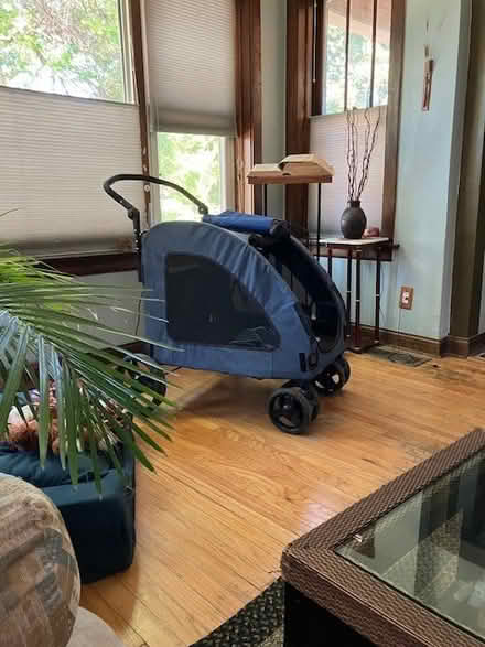 Photo of free Dog Stroller (portage park) #1