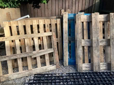 Photo of free 4 pallets (Cromer Hyde AL8) #1