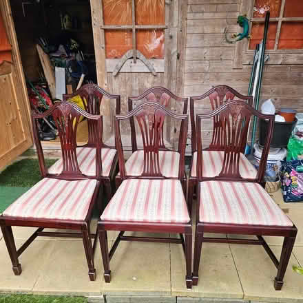Photo of free Set of 6 Dining table chairs (Glasnevin) #1