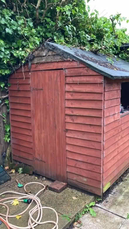 Photo of free Shed (Thorpe Hamlet NR1) #1